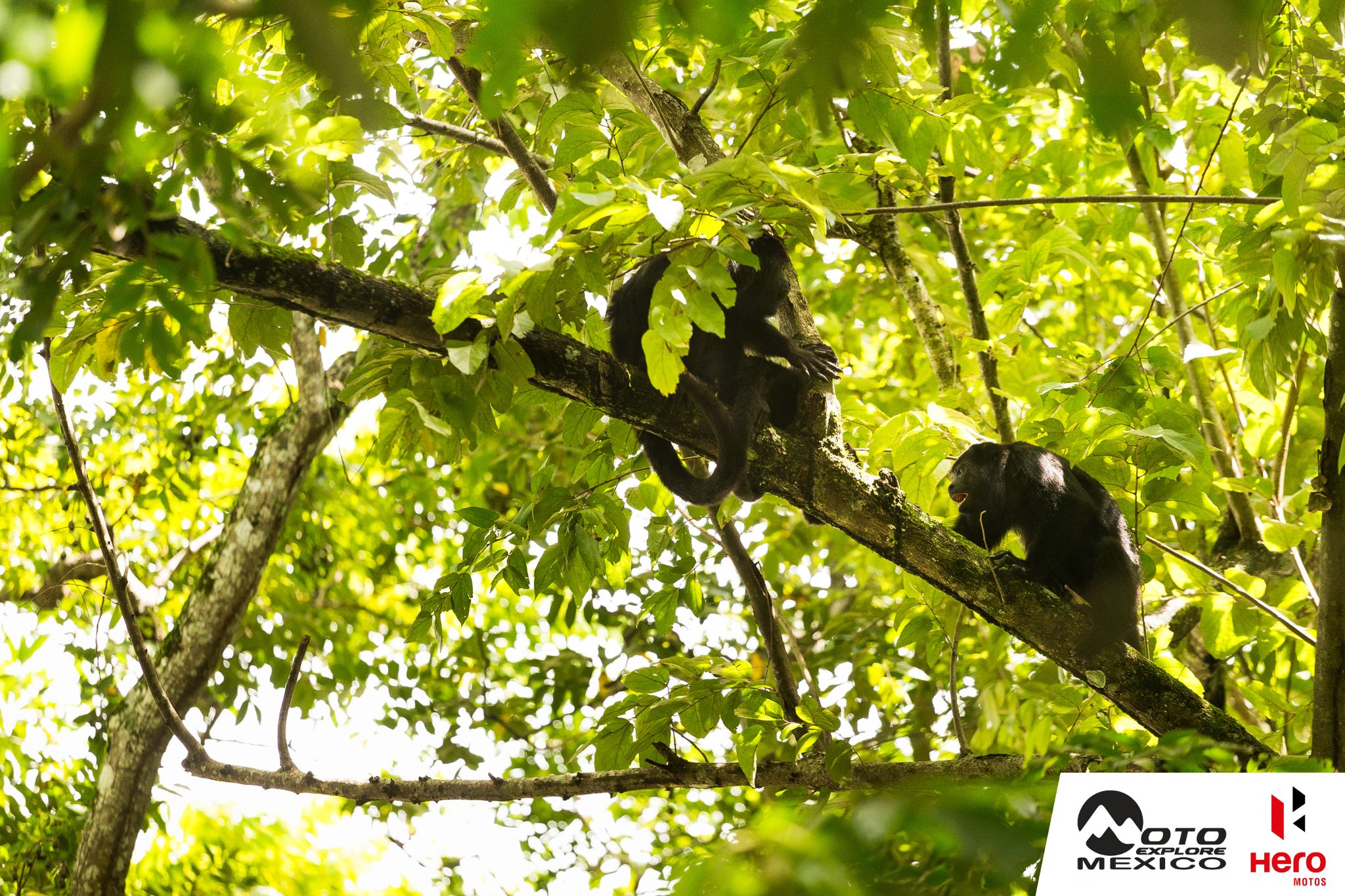 HERO XPULSE CHIAPAS 2025 16