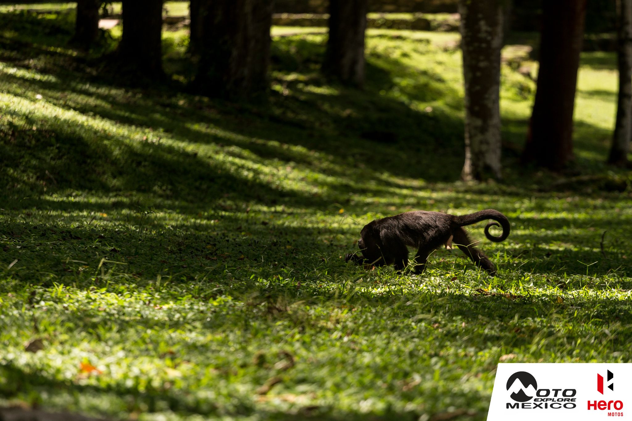 HERO XPULSE CHIAPAS 2025 17